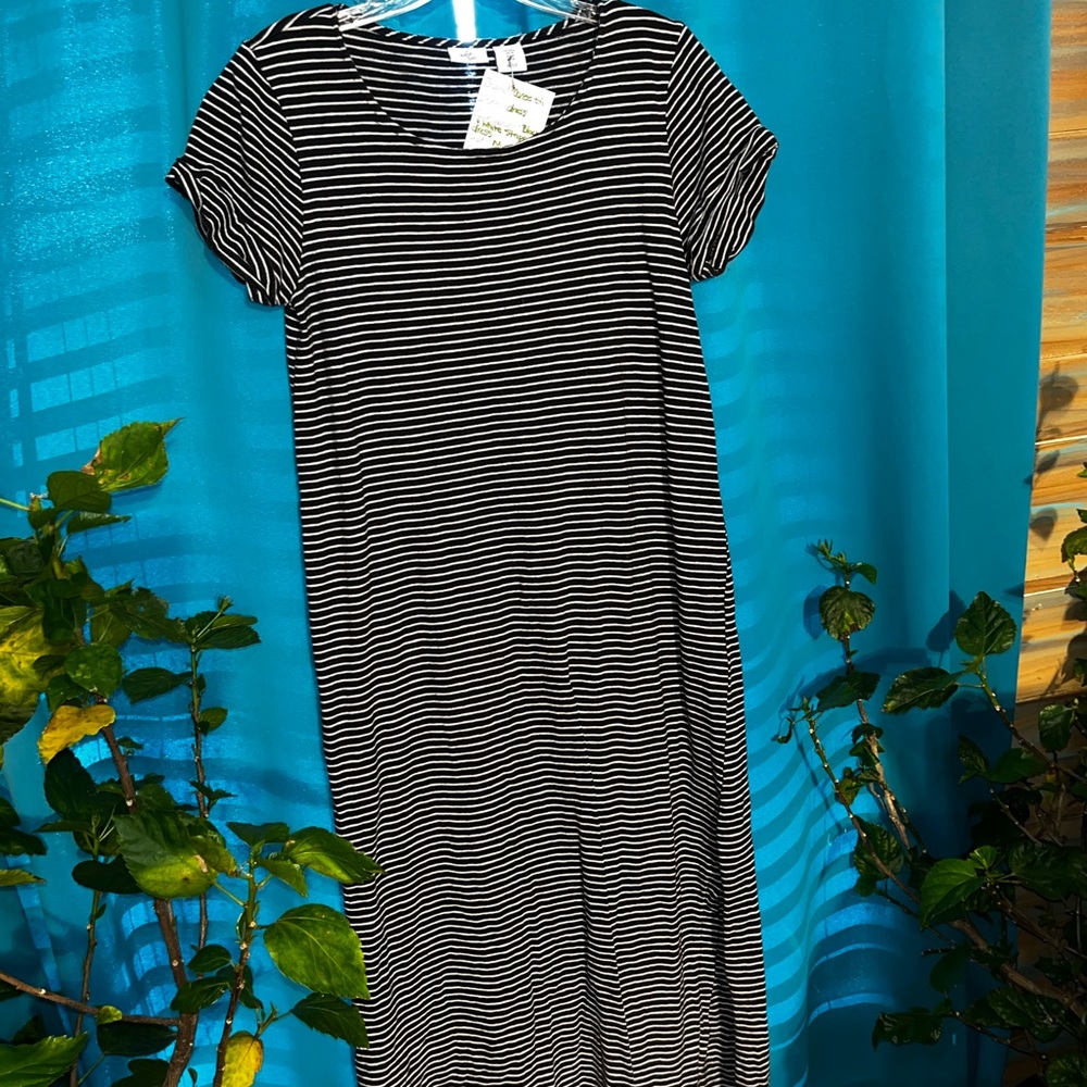 Avee-Toi dress